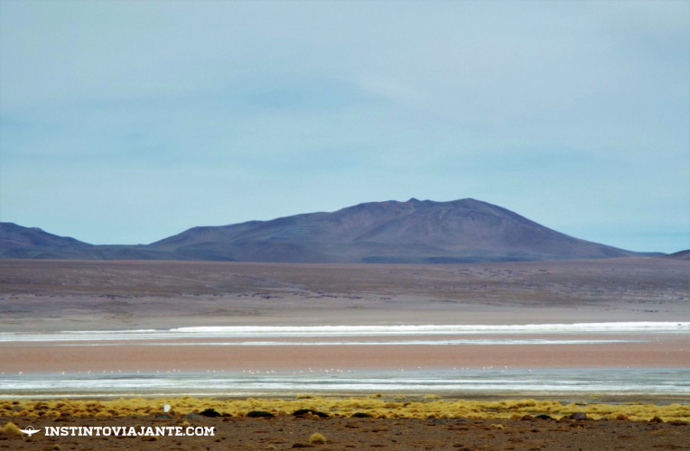 laguna colorada salar de uyuni bolivia