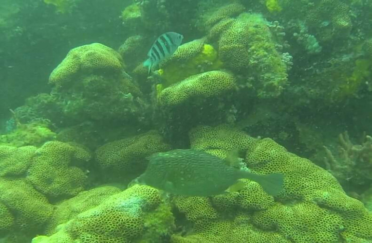Mergulho nas águas claras de Arraial do Cabo