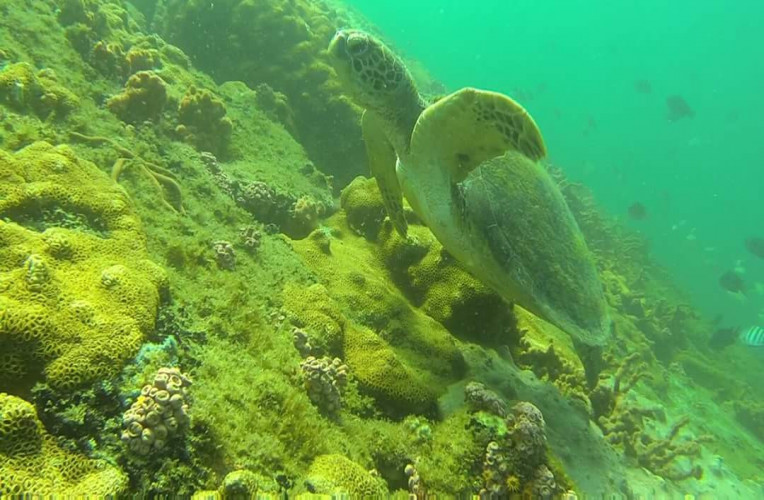 Mergulho em Arraial do Cabo