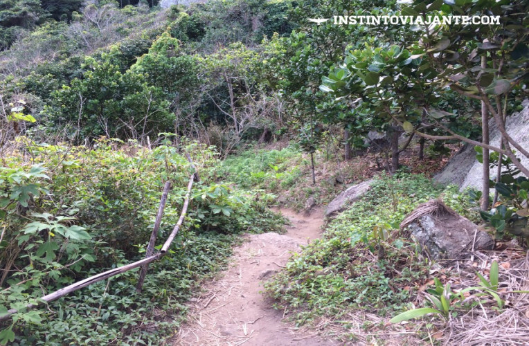Como chegar enseada do Bananal na Serra da Tiririca