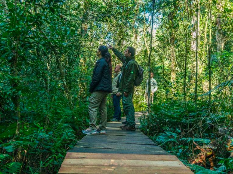 As trilhas do Poço Preto e das Bananeiras são algumas opções extras das Cataratas do Iguaçu brasileira