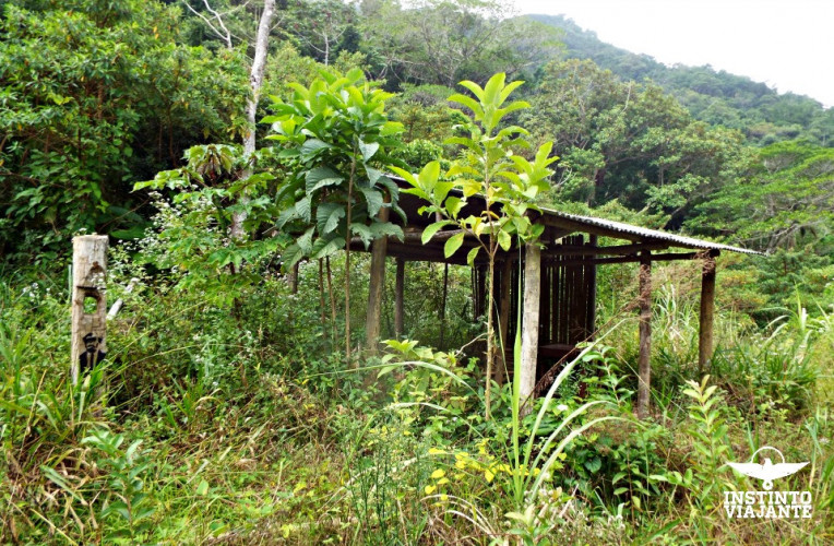 casa trilha saco bravo