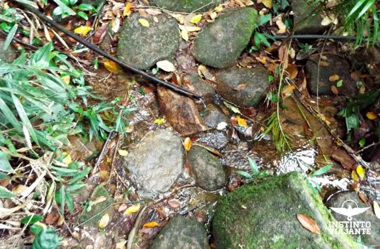 segundo ponto de coleta de agua saco bravo