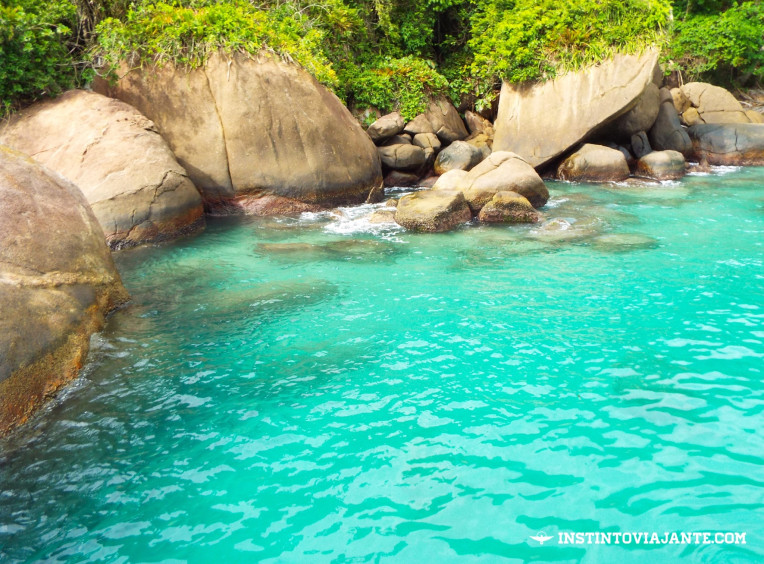 Local onde mergulhamos, perto do píer de Aventureiro, Ilha Grande/RJ – Sem filtro, acredite!