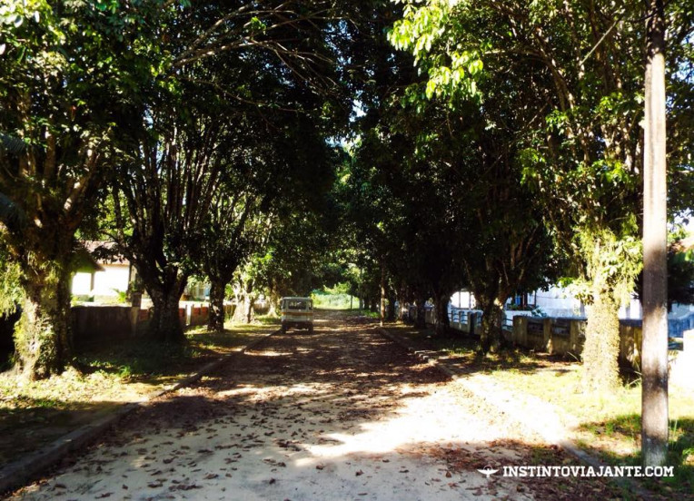 Ruazinha em Dois Rios, Ilha Grande/RJ