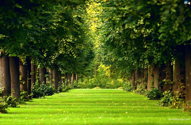landscapes 267a