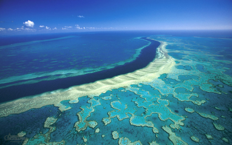 Grande Barreira de Corais, Cairns, Australia