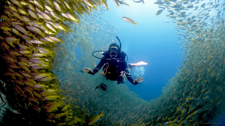 Melhores coisas para fazer na Tailandia - Mergulho em Phi Phi Island