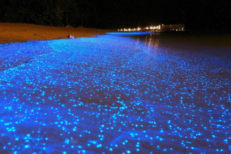 Planctons luminosos em Koh Rong, Cambodia