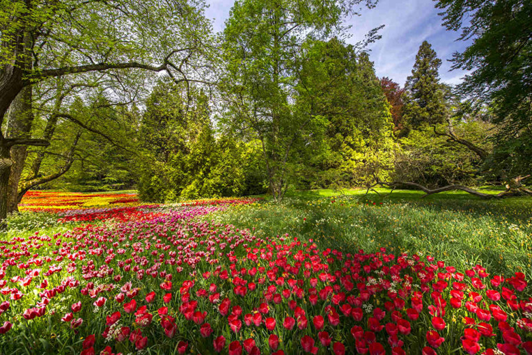 O que fazer em Konstanz - Ilha das Flores (Mainau Island)