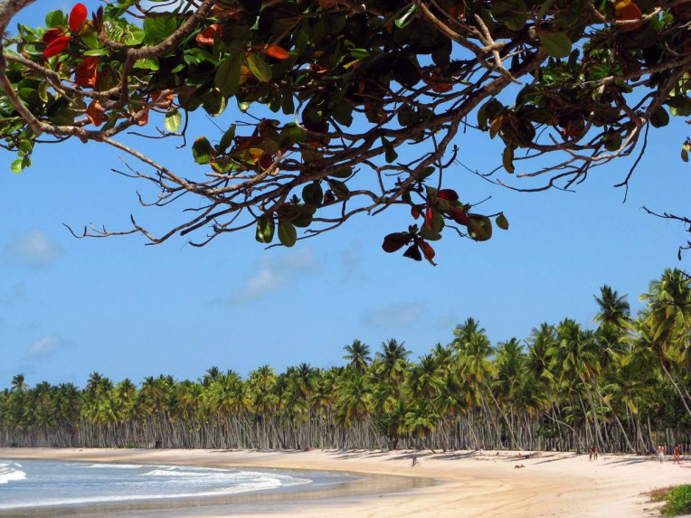 Praia Boipeba - Bahia - Praia da Cueira