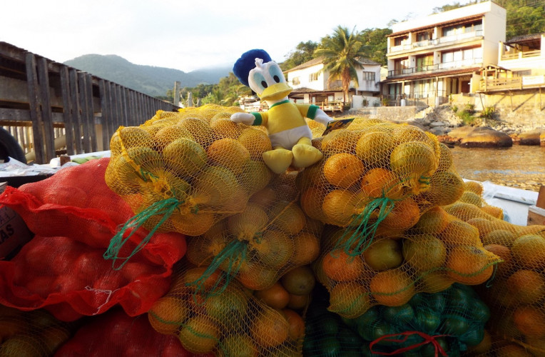 viajar sem dinheiro carona barco de fruta