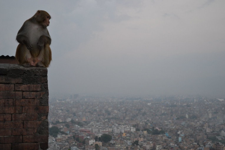 Kathmandu Nepal - Templo dos Macacos