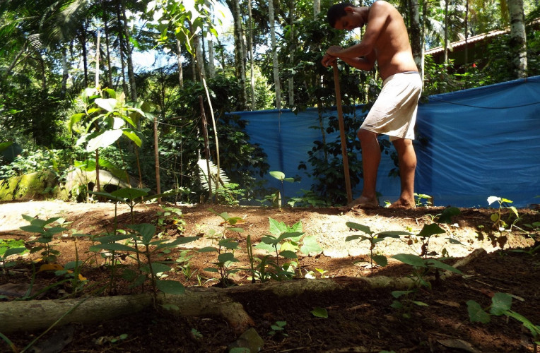 Capinando e plantando pela primeira vez na vida