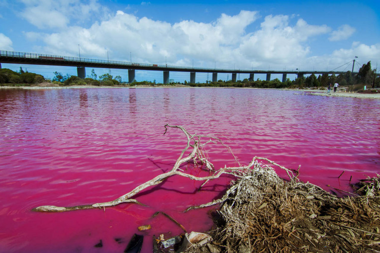 Lugares Incríveis Austrália - Pink Lake
