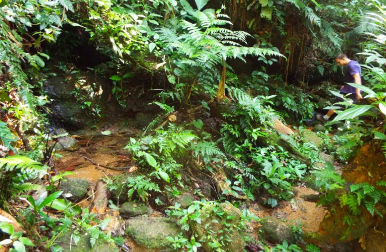 Fonte de água doce no caminho para Martim de Sá