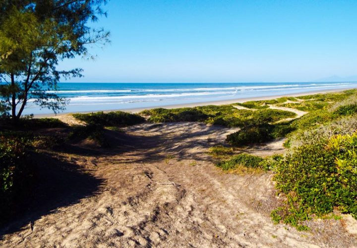 Restinga e Praia das Pedrinhas, parte sul da Ilha Comprida/SP