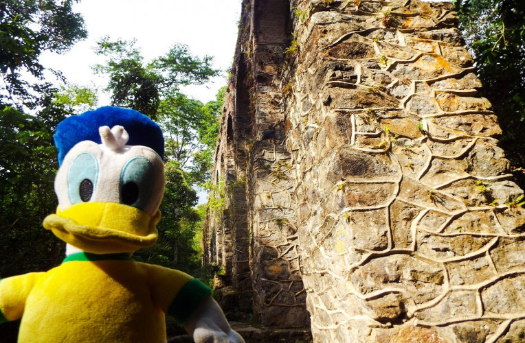 Mascote Donald