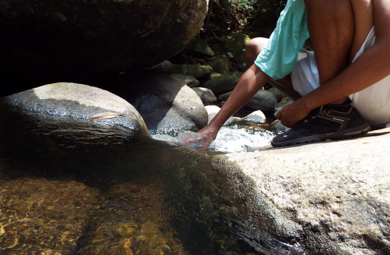 Reabastecendo a água na trilha para o Saco do Céu, Ilha Grande/RJ