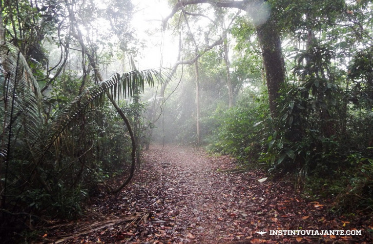 Fim da neblina, na Trilha T8 (Araçatiba - Provetá)