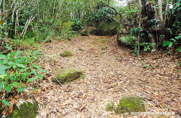 Trilha T9 (Provetá - Aventureiro)