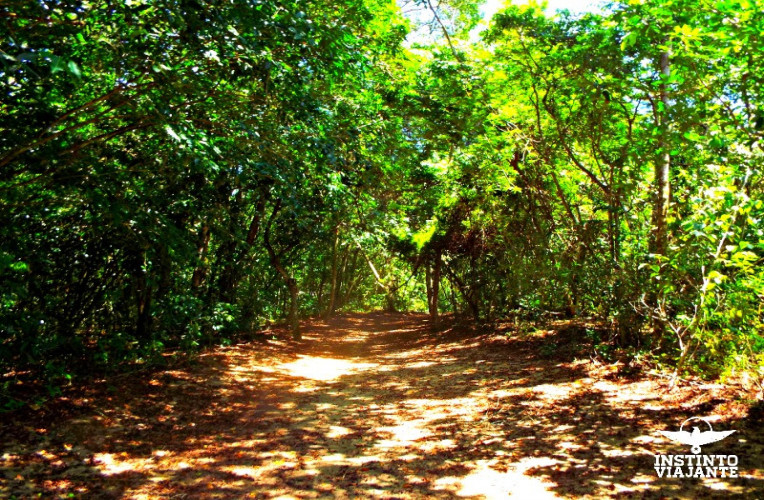 Início da Trilha T16 (Dois Rios – Parnaioca)