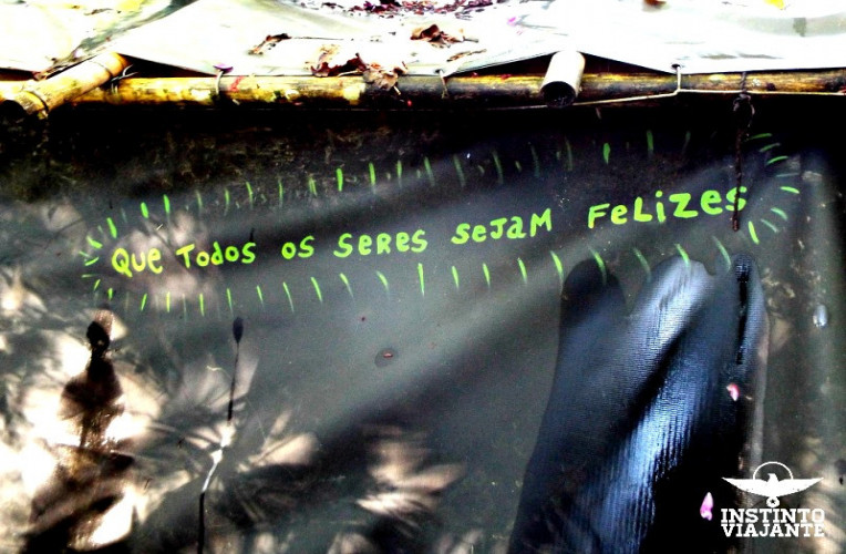 Respeitar todas as formas de vida sempre