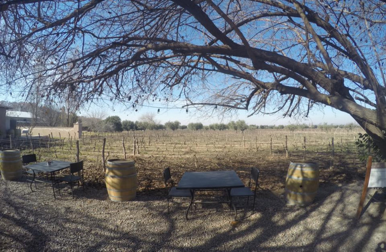 Espaço comum, de frente para os vinhedos, na Bodega Lagarde, em Mendoza - Instinto Viajante