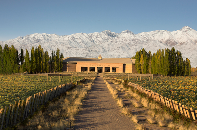Bodegas Salentein, em Mendoza. Foto: decanter.com