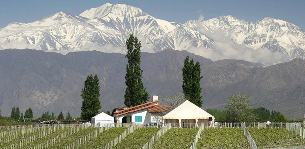 Vinicola Luigi Bosca, em Mendoza, Argentina. Foto: macaronmagazine.com