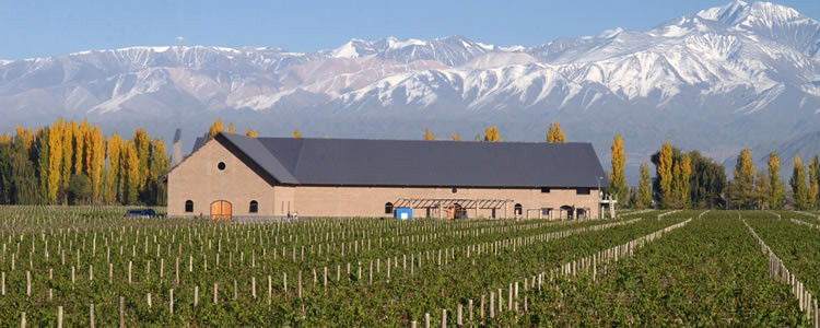 Bodega Dominio del Plata, em Mendoza, Argentina. Foto: inmendoza.com