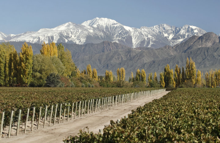 Bodega Terraza de los Andes, em Mendoza, Argentina. Foto: miraargentina.com